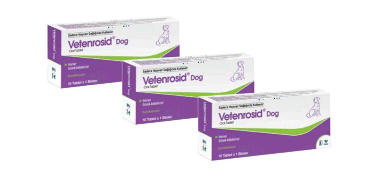 Vetenrosid Dog