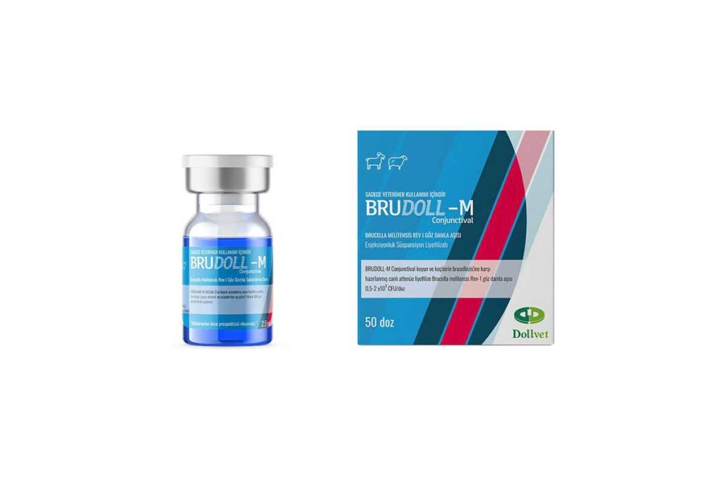 Brudoll-M Conjunctival