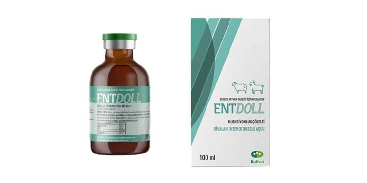 Entdoll