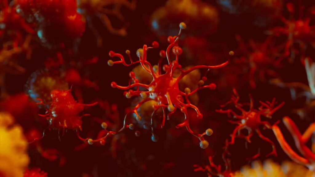 Chagas Hastalığı (Güney Amerika Trypanosoma Enfestasyonu)