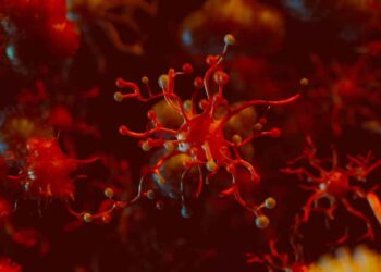 Chagas Hastalığı (Güney Amerika Trypanosoma Enfestasyonu)