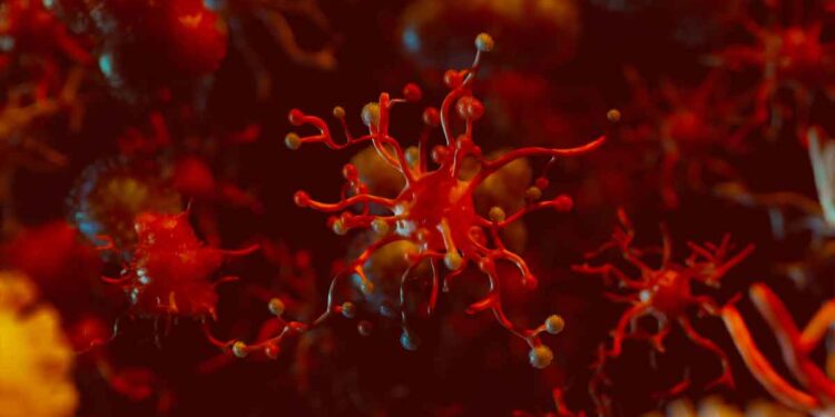 Chagas Hastalığı (Güney Amerika Trypanosoma Enfestasyonu)