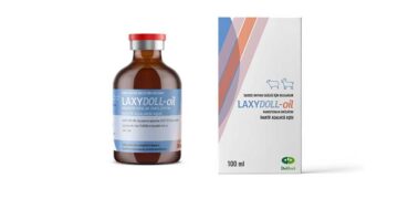 Laxydoll-Oil