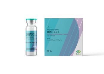 Orfdoll