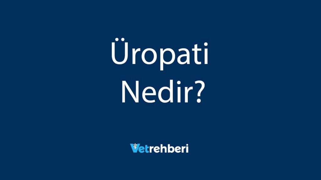 Üropati Nedir?