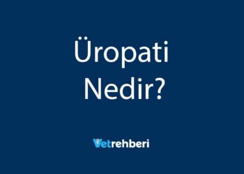 Üropati Nedir?