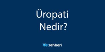 Üropati Nedir?