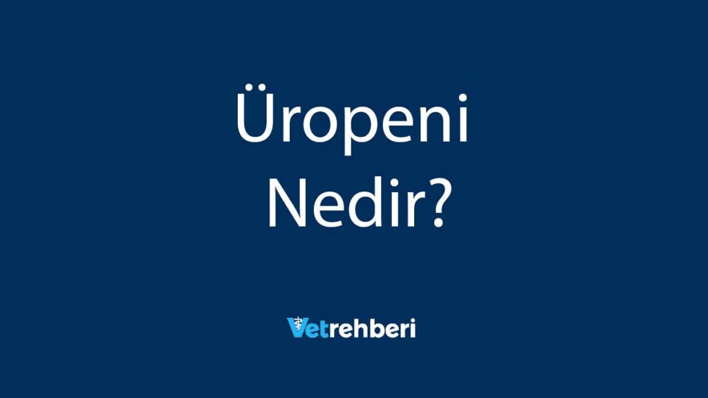 Üropeni Nedir?