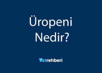 Üropeni Nedir?