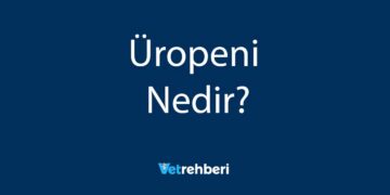 Üropeni Nedir?