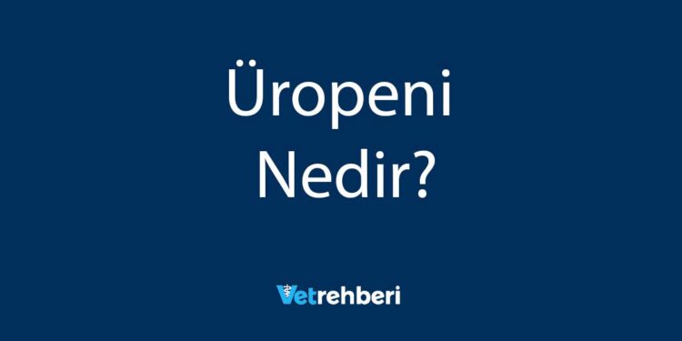 Üropeni Nedir?