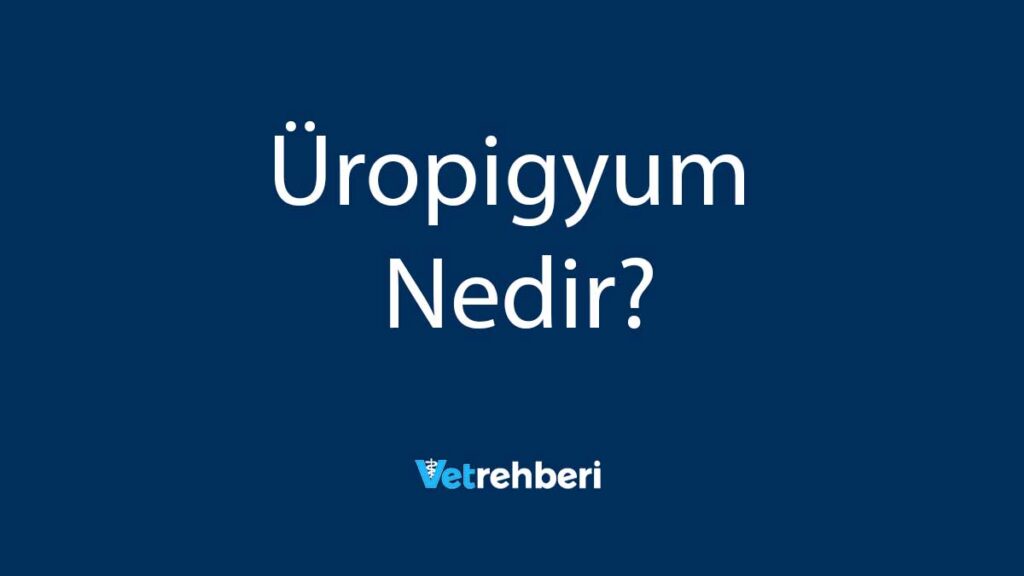 Üropigyum Nedir?