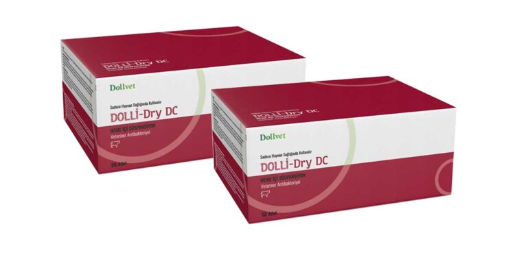 Dolli-Dry DC