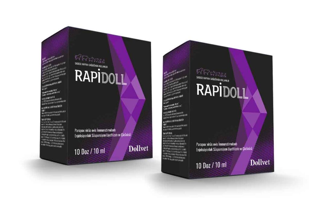 Rapidoll
