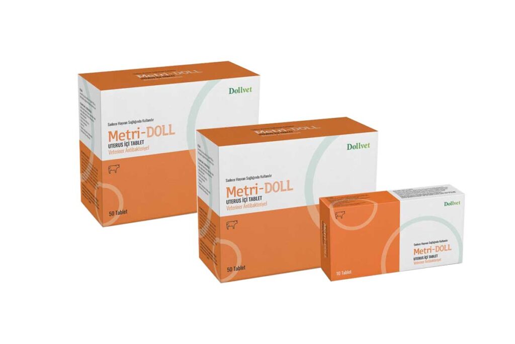 Metri-Doll