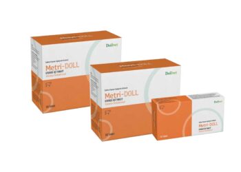 Metri-Doll