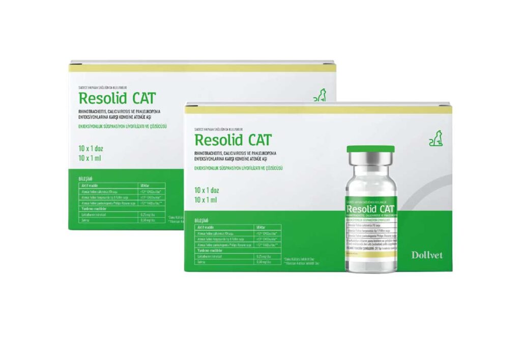 Resolid Cat