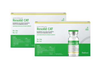 Resolid Cat