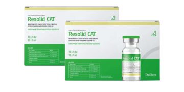Resolid Cat