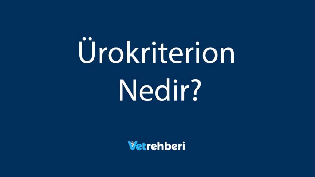 Ürokriterion Nedir?