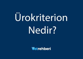 Ürokriterion Nedir?