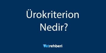 Ürokriterion Nedir?