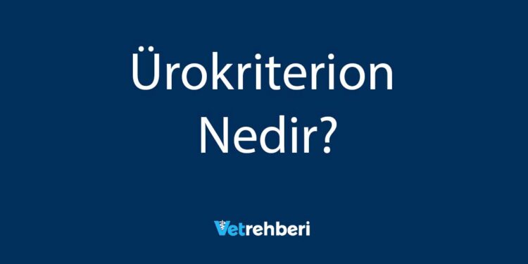 Ürokriterion Nedir?