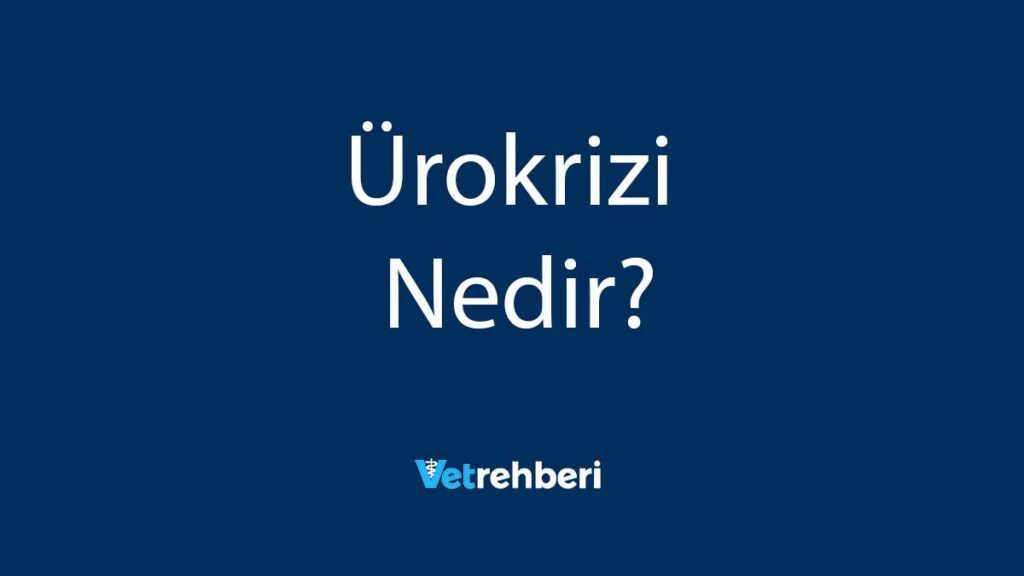 Ürokrizi Nedir?