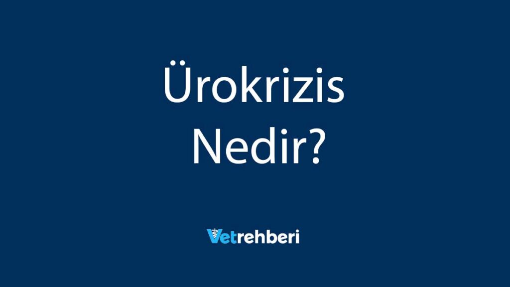 Ürokrizis Nedir?