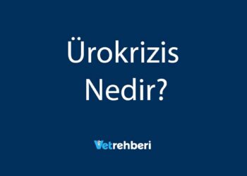 Ürokrizis Nedir?