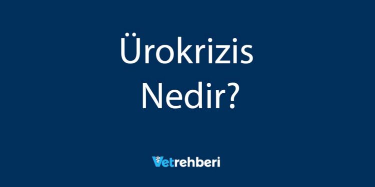 Ürokrizis Nedir?