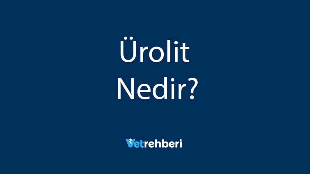 Ürolit Nedir?