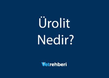 Ürolit Nedir?