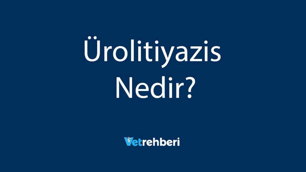 Ürolitiyazis Nedir?