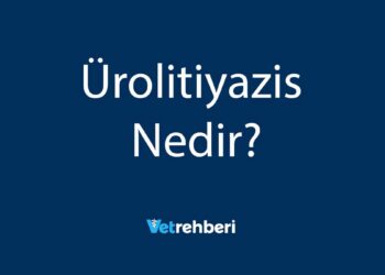 Ürolitiyazis Nedir?