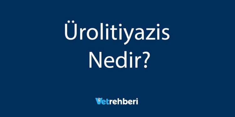 Ürolitiyazis Nedir?