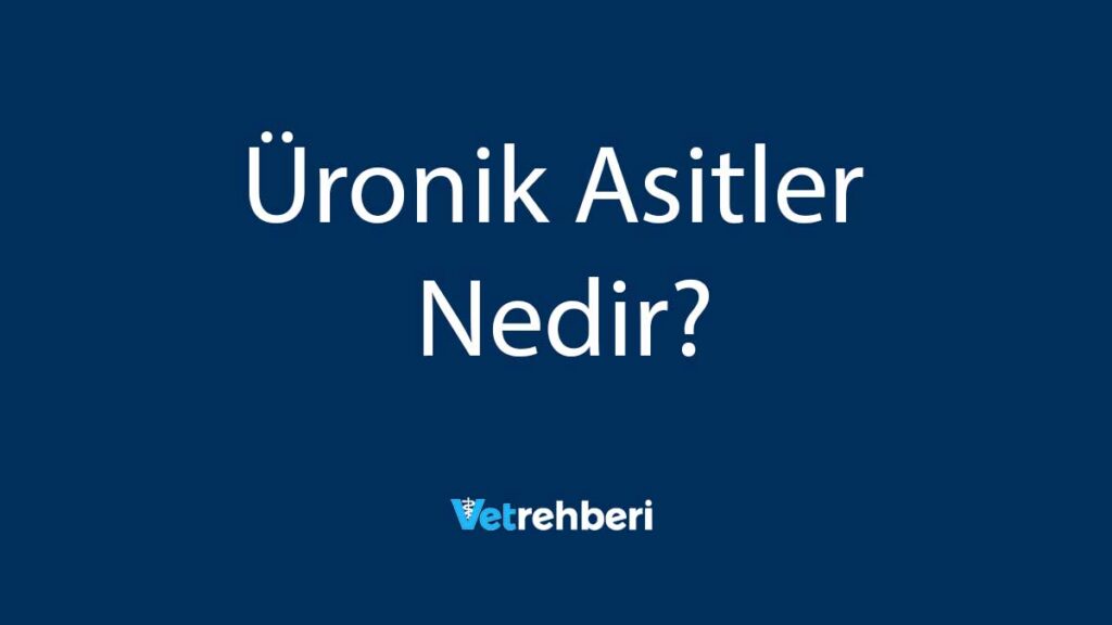 Üronik Asitler Nedir?