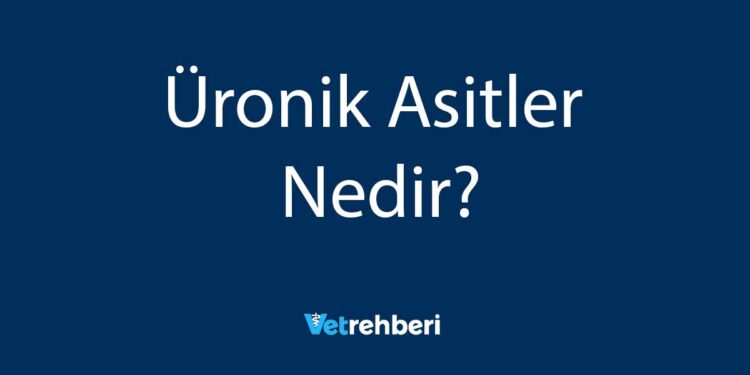 Üronik Asitler Nedir?